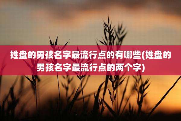 姓盘的男孩名字最流行点的有哪些(姓盘的男孩名字最流行点的两个字)