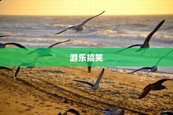 游乐搞笑