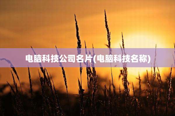 电脑科技公司名片(电脑科技名称)