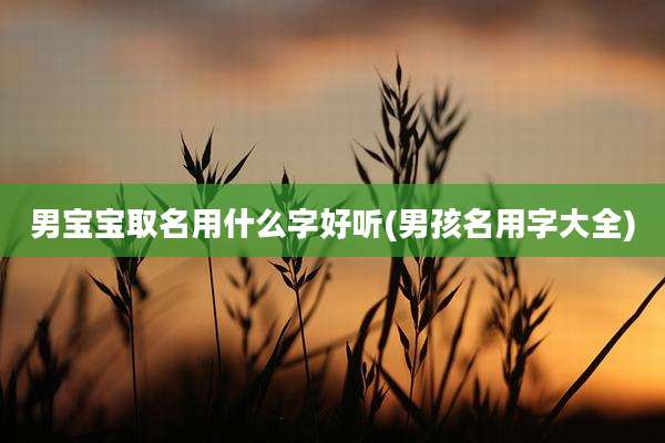 男宝宝取名用什么字好听(男孩名用字大全)