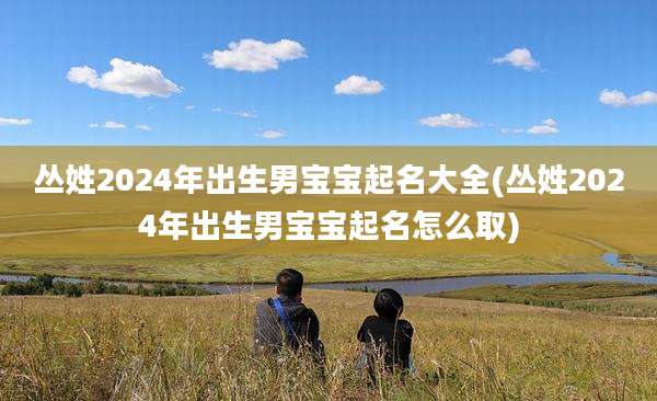 丛姓2024年出生男宝宝起名大全(丛姓2024年出生男宝宝起名怎么取)