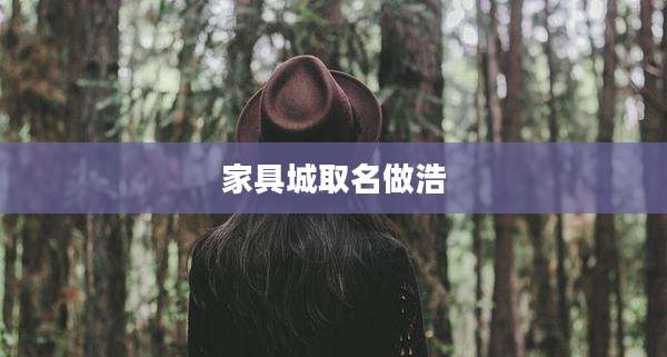 家具城取名做浩