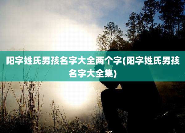 阳字姓氏男孩名字大全两个字(阳字姓氏男孩名字大全集)