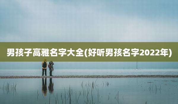 男孩子高雅名字大全(好听男孩名字2022年)