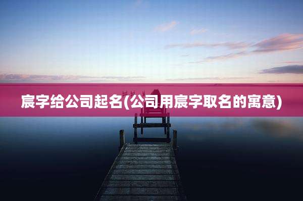 宸字给公司起名(公司用宸字取名的寓意)
