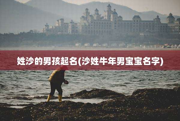 姓沙的男孩起名(沙姓牛年男宝宝名字)