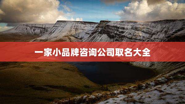 一家小品牌咨询公司取名大全