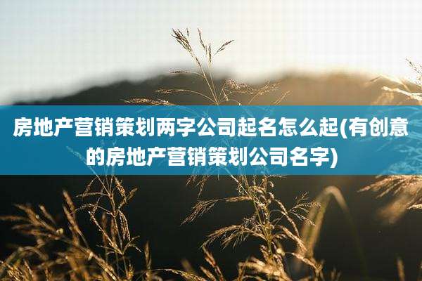 房地产营销策划两字公司起名怎么起(有创意的房地产营销策划公司名字)
