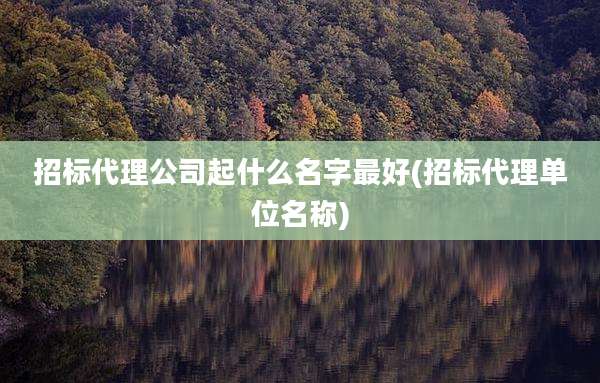 招标代理公司起什么名字最好(招标代理单位名称)