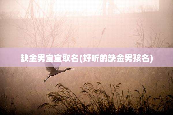 缺金男宝宝取名(好听的缺金男孩名)