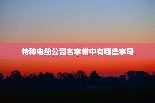 特种电缆公司名字带中有哪些字母