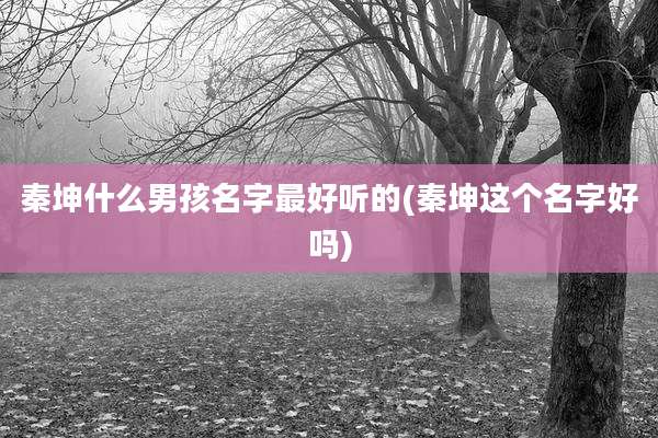 秦坤什么男孩名字最好听的(秦坤这个名字好吗)