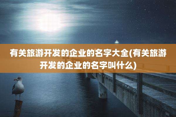 有关旅游开发的企业的名字大全(有关旅游开发的企业的名字叫什么)