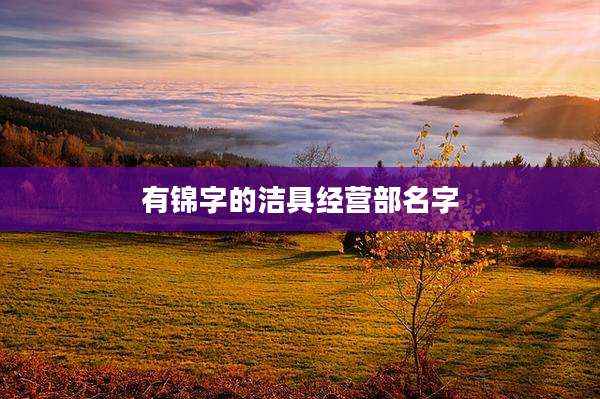 有锦字的洁具经营部名字