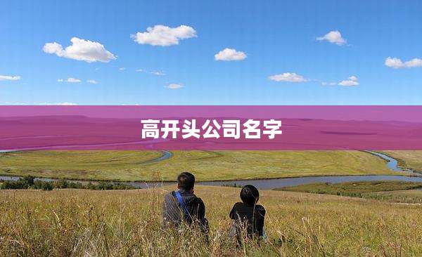 高开头公司名字