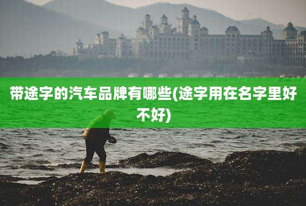 带途字的汽车品牌有哪些(途字用在名字里好不好)
