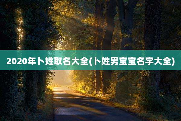 2020年卜姓取名大全(卜姓男宝宝名字大全)