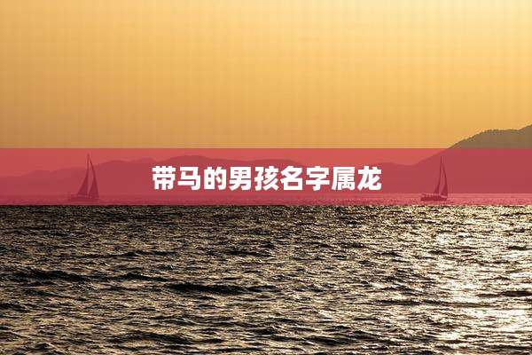 带马的男孩名字属龙