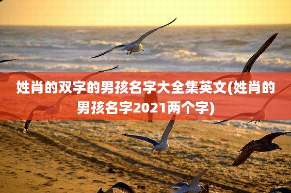 姓肖的双字的男孩名字大全集英文(姓肖的男孩名字2021两个字)