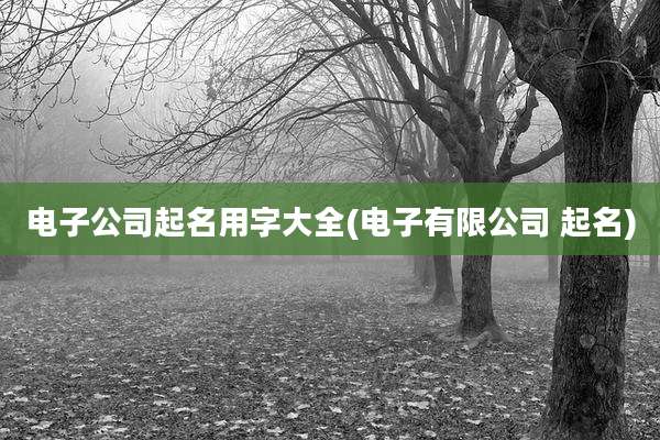 电子公司起名用字大全(电子有限公司 起名)