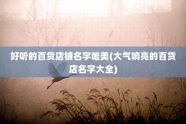 好听的百货店铺名字唯美(大气响亮的百货店名字大全)