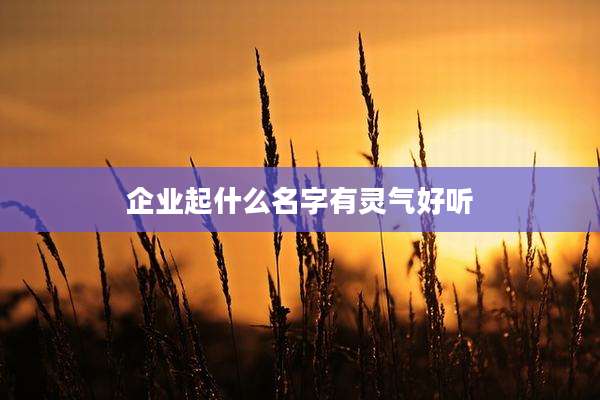 企业起什么名字有灵气好听