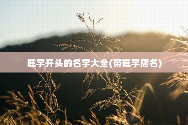 旺字开头的名字大全(带旺字店名)