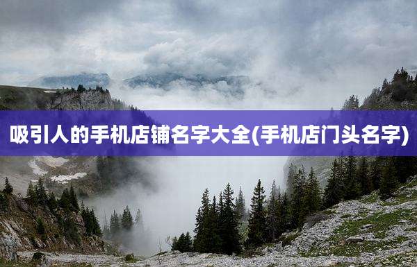 吸引人的手机店铺名字大全(手机店门头名字)
