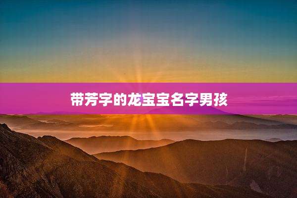 带芳字的龙宝宝名字男孩