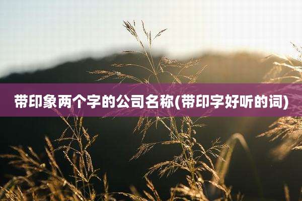 带印象两个字的公司名称(带印字好听的词)