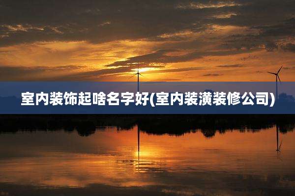 室内装饰起啥名字好(室内装潢装修公司)