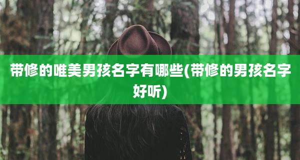 带修的唯美男孩名字有哪些(带修的男孩名字好听)