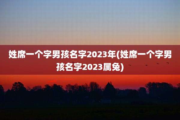 姓席一个字男孩名字2023年(姓席一个字男孩名字2023属兔)
