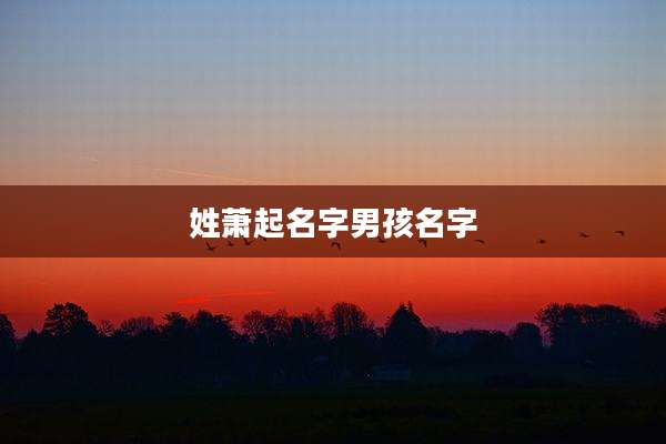 姓萧起名字男孩名字