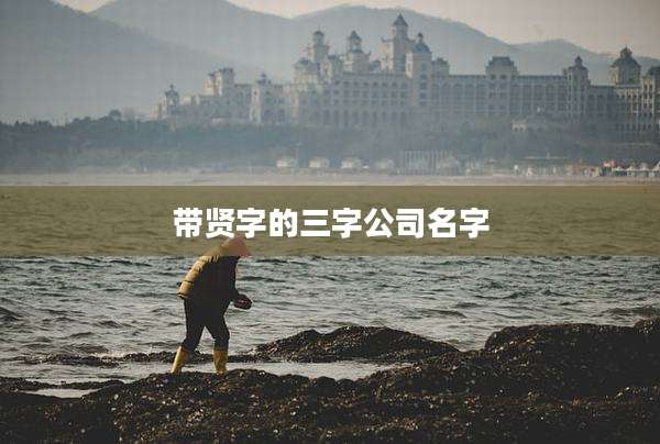 带贤字的三字公司名字