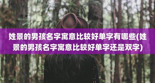 姓景的男孩名字寓意比较好单字有哪些(姓景的男孩名字寓意比较好单字还是双字)