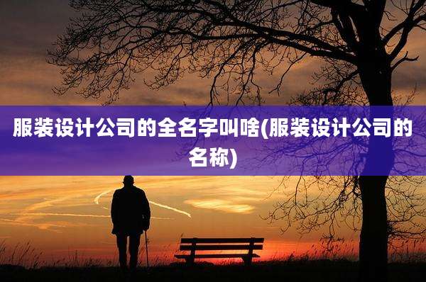 服装设计公司的全名字叫啥(服装设计公司的名称)