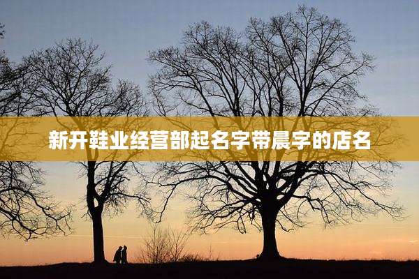新开鞋业经营部起名字带晨字的店名