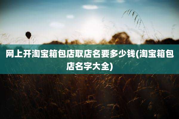 网上开淘宝箱包店取店名要多少钱(淘宝箱包店名字大全)
