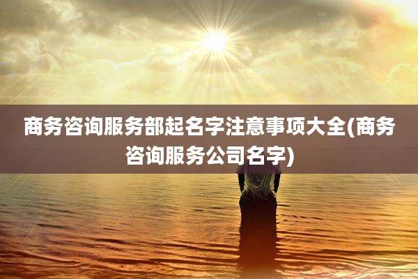 商务咨询服务部起名字注意事项大全(商务咨询服务公司名字)