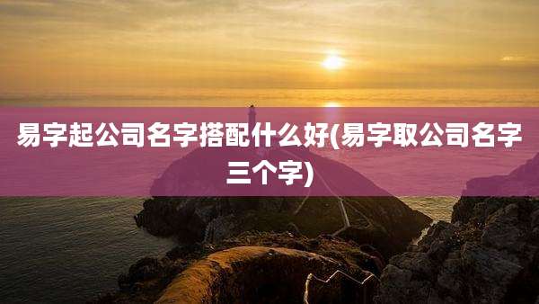 易字起公司名字搭配什么好(易字取公司名字三个字)