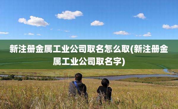新注册金属工业公司取名怎么取(新注册金属工业公司取名字)