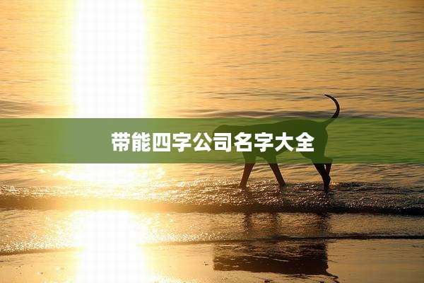 带能四字公司名字大全
