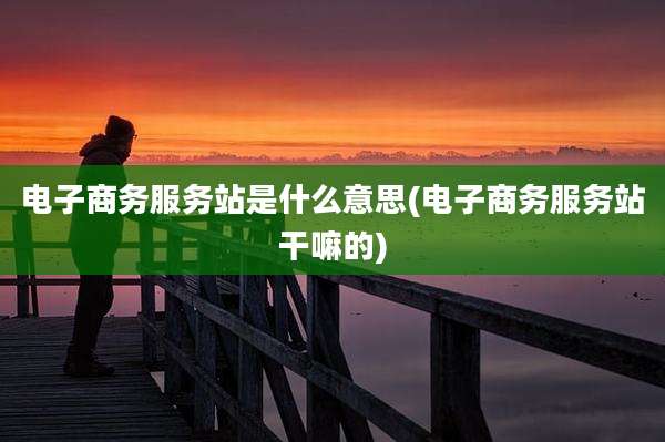 电子商务服务站是什么意思(电子商务服务站干嘛的)
