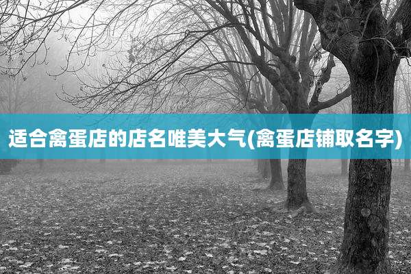 适合禽蛋店的店名唯美大气(禽蛋店铺取名字)