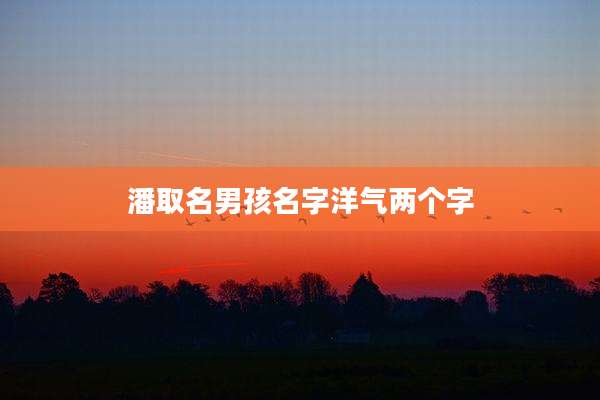 潘取名男孩名字洋气两个字