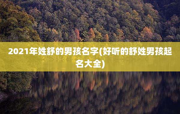 2021年姓舒的男孩名字(好听的舒姓男孩起名大全)