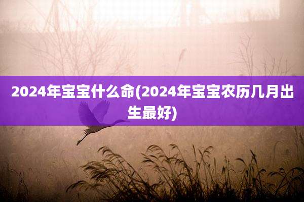 2024年宝宝什么命(2024年宝宝农历几月出生最好)