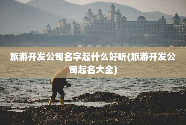 旅游开发公司名字起什么好听(旅游开发公司起名大全)