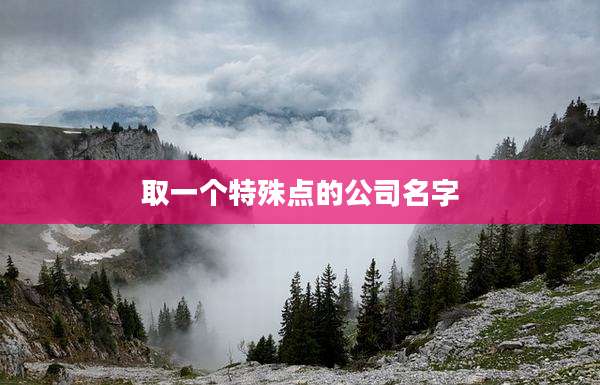 取一个特殊点的公司名字